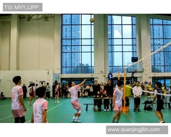 上海排球队的拼搏之路：世锦赛背后的奋斗与荣耀